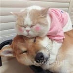 Avatar de Inés Cazares